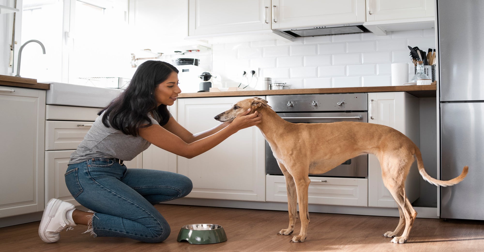 Dual Action Air Purifiers: Fighting Kitchen Odors And Pet Hair